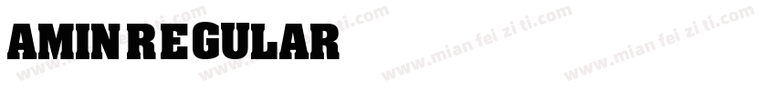 Amin Regular字体转换